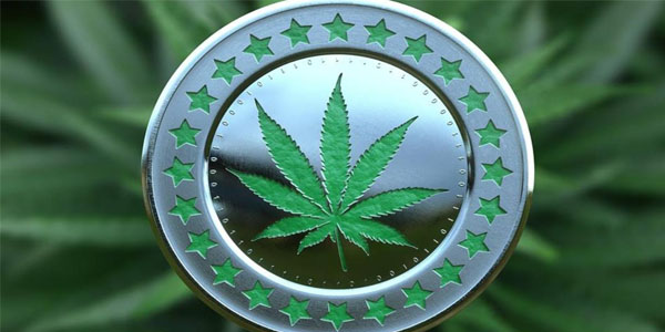 Investire in Cannabis: Le Migliori Criptovalute Sulla Marijuana
